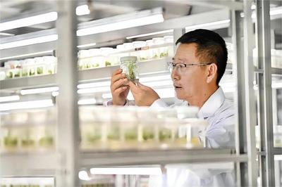 灃西新城加快“科學(xué)家+工程師”隊伍建設(shè)，為農(nóng)業(yè)科學(xué)研究和試驗發(fā)展注入新活力