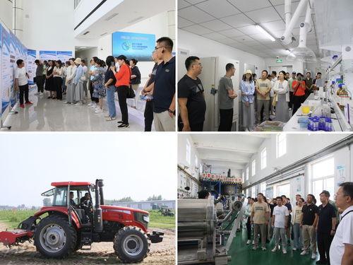 內(nèi)蒙古農(nóng)大AI創(chuàng)新教學(xué)與科研能力提升培訓(xùn)班在涿州教學(xué)實驗場圓滿收官