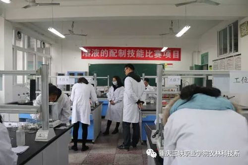 農(nóng)林科技系第六屆技能大賽 助力農(nóng)業(yè)科研與試驗(yàn)發(fā)展新篇章