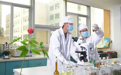 龍潤藥業(yè)榮獲2018年度云南省科學(xué)技術(shù)進(jìn)步獎(jiǎng)三等獎(jiǎng)，彰顯農(nóng)業(yè)科研創(chuàng)新實(shí)力