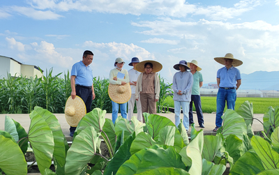 桂林市農(nóng)業(yè)科學(xué)研究中心赴賀州市農(nóng)業(yè)科學(xué)院開展農(nóng)業(yè)科研與試驗(yàn)發(fā)展調(diào)研交流