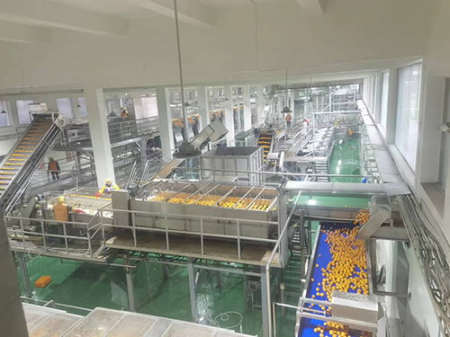 農(nóng)發(fā)行忠縣支行加大農(nóng)業(yè)科技投放力度，助力企業(yè)高質(zhì)量發(fā)展