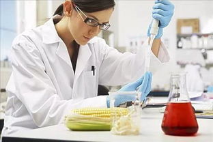 化學(xué)工程與工藝與農(nóng)業(yè)科學(xué)研究的融合與發(fā)展