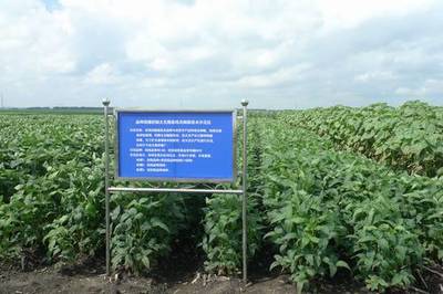 廣東省加大國家農(nóng)業(yè)科研項(xiàng)目扶持力度，推動(dòng)農(nóng)業(yè)科技發(fā)展